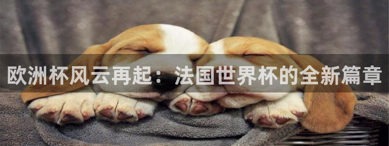 世界杯足球：欧洲杯风云再起：法国世界杯的全新篇章