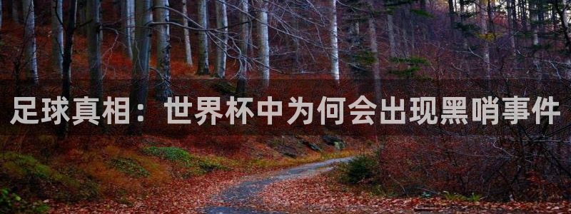 世界杯预选赛：足球真相：世界杯中为何会出现黑哨事件