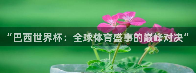 2026 世界杯：“巴西世界杯：全球体育盛事的巅峰对决”