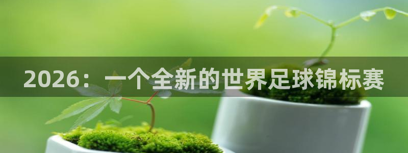 世界杯欧洲区赛程：2026：一个全新的世界足球锦标赛