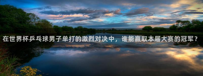 2026世界杯亚洲区预选赛赛程：在世界杯乒乓球男子单打的激烈对决中，谁能赢取本届大赛的冠军？