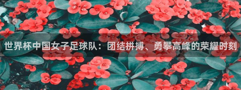 世界杯：世界杯中国女子足球队：团结拼搏、勇攀高峰的荣耀时刻