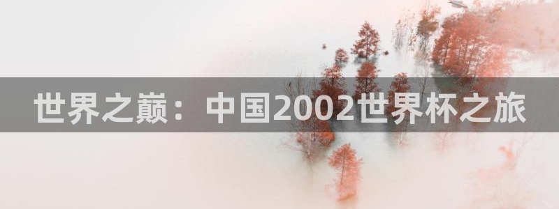 西超杯直播：世界之巅：中国2002世界杯之旅