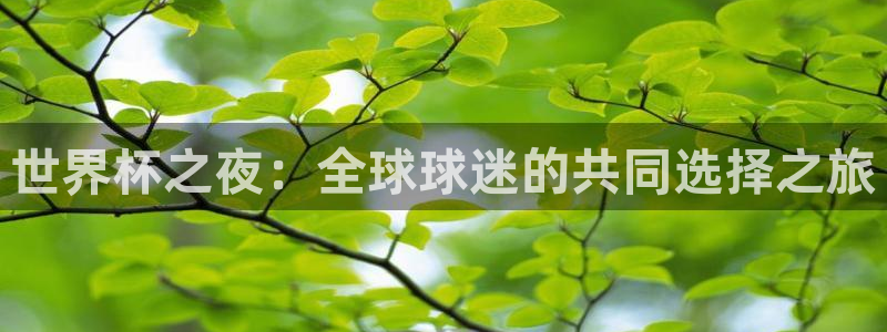 2026世预赛赛程表：世界杯之夜：全球球迷的共同选择之旅