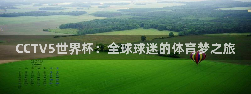 足球世界杯预选赛：CCTV5世界杯：全球球迷的体育梦之旅