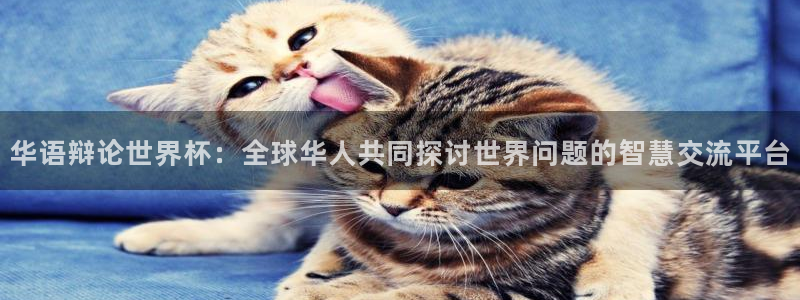 世俱杯直播：华语辩论世界杯：全球华人共同探讨世界问题的智慧交流平台