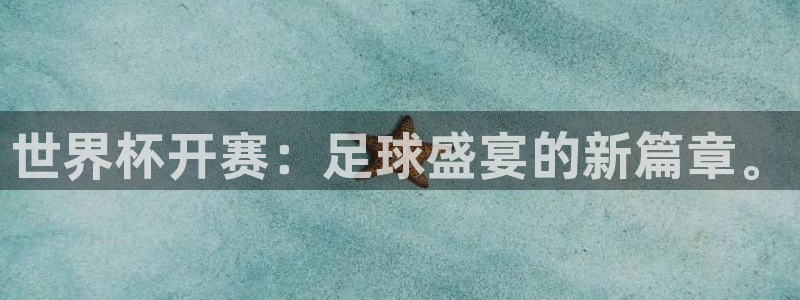 世界杯决赛圈球队：世界杯开赛：足球盛宴的新篇章。