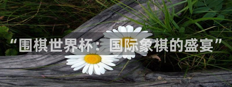 2026世界杯赛程表完整版：“围棋世界杯：国际象棋的盛宴”