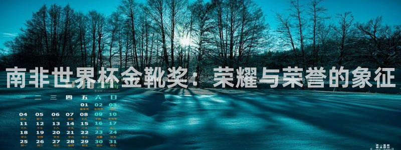 世界杯官网入口：南非世界杯金靴奖：荣耀与荣誉的象征