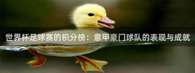 国际足联世界杯：世界杯足球赛的积分榜：意甲豪门球队的表现与成就