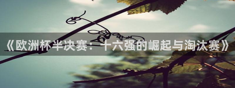 2026世界杯中国队：《欧洲杯半决赛：十六强的崛起与淘汰赛》